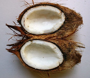 Interesting Facts About Coconuts