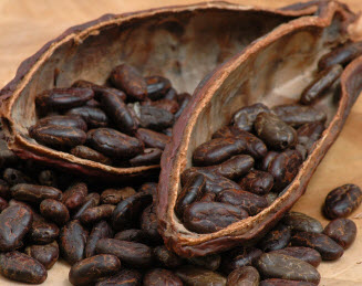interesting facts about cacao beans