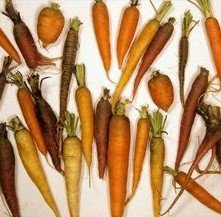 Interesting Random facts. Carrots. 