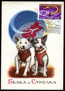 Belka and Strelka