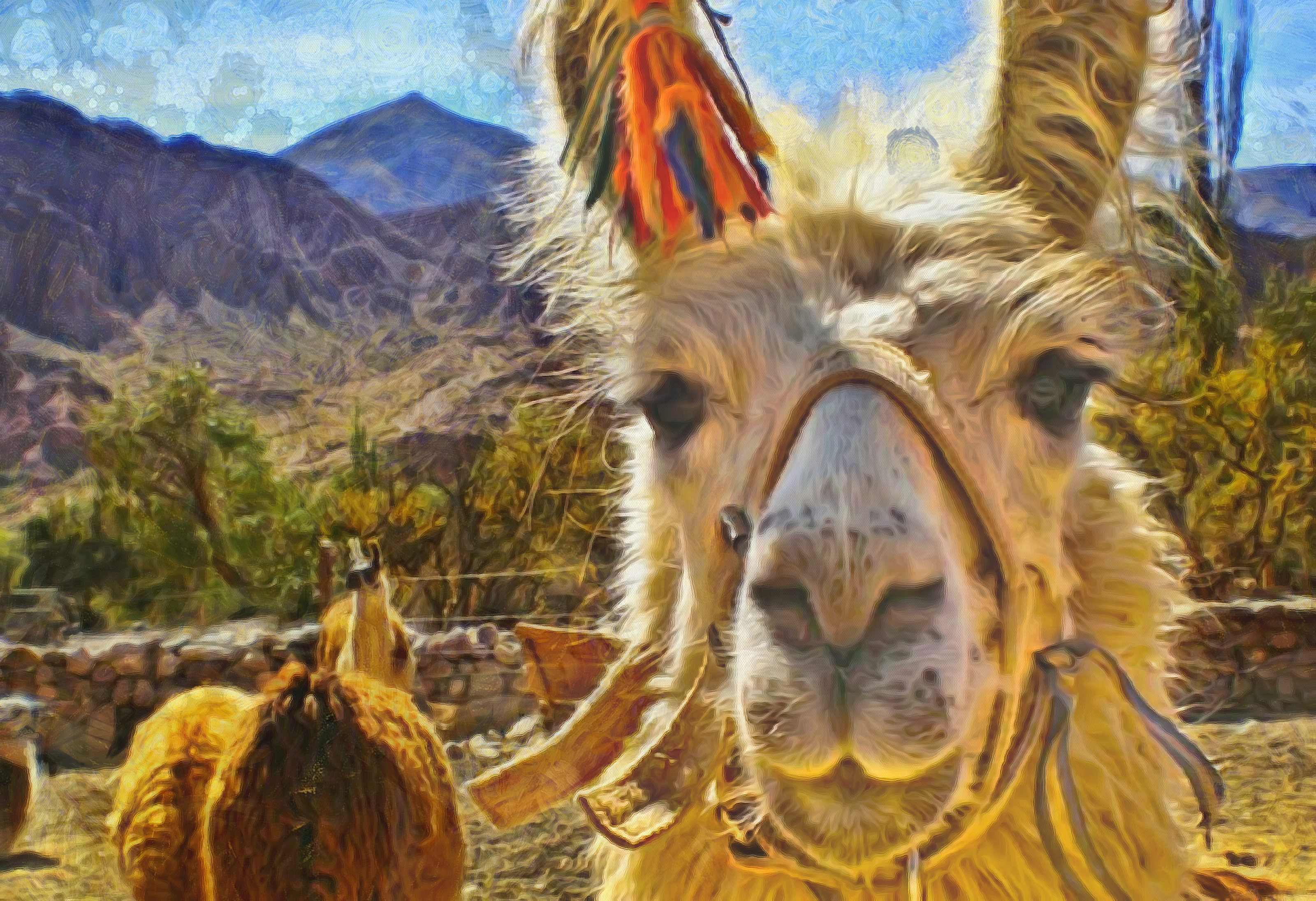 Interesting facts about Bolivia - Bolivia Facts