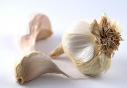 Interesting facts about Garlic, Indiana