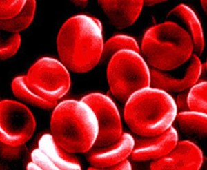 Interesting facts about blood cells