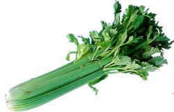 interesting facts about celery