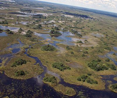 Okavango Delta in Africa
