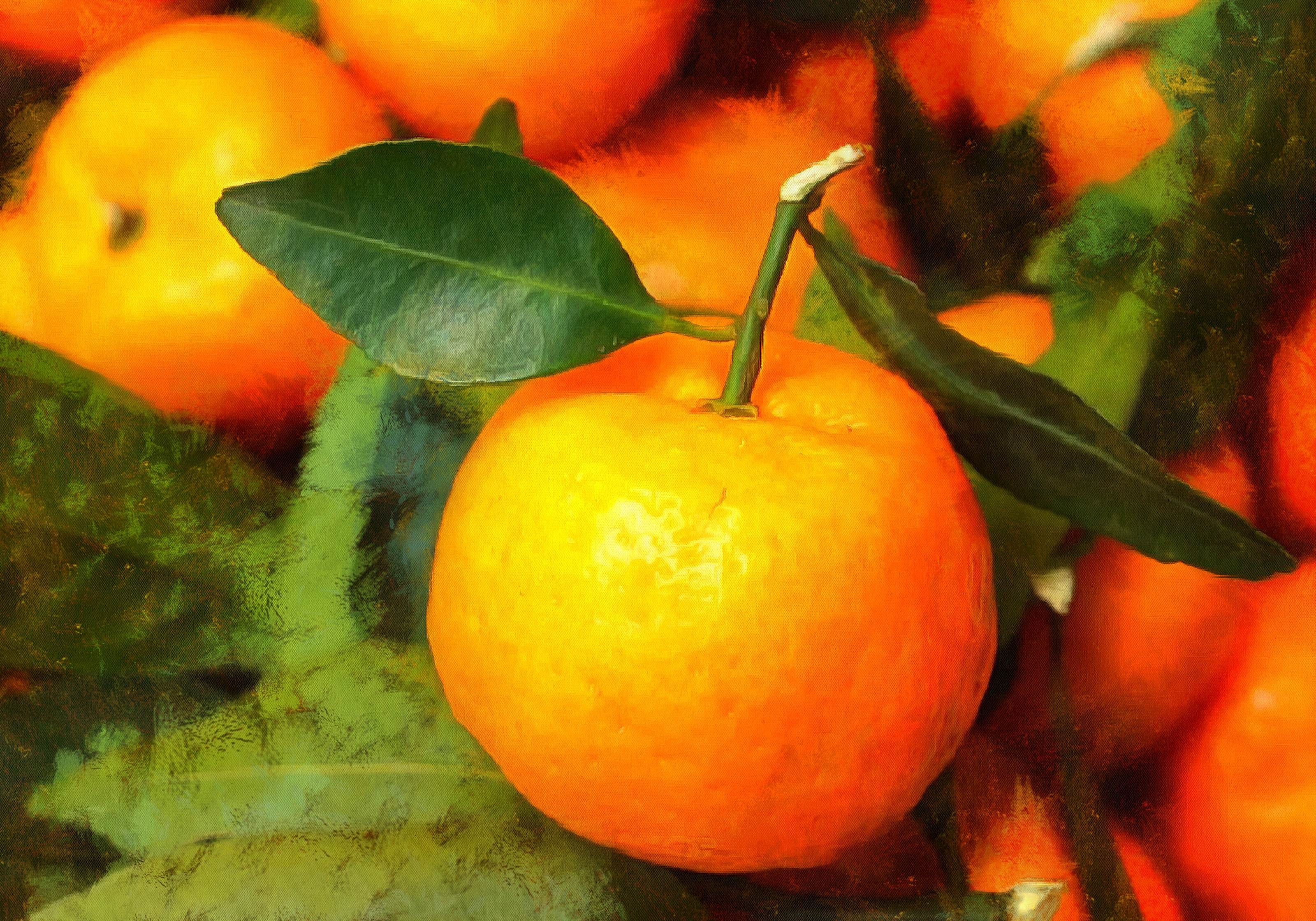 Orange Fun Facts