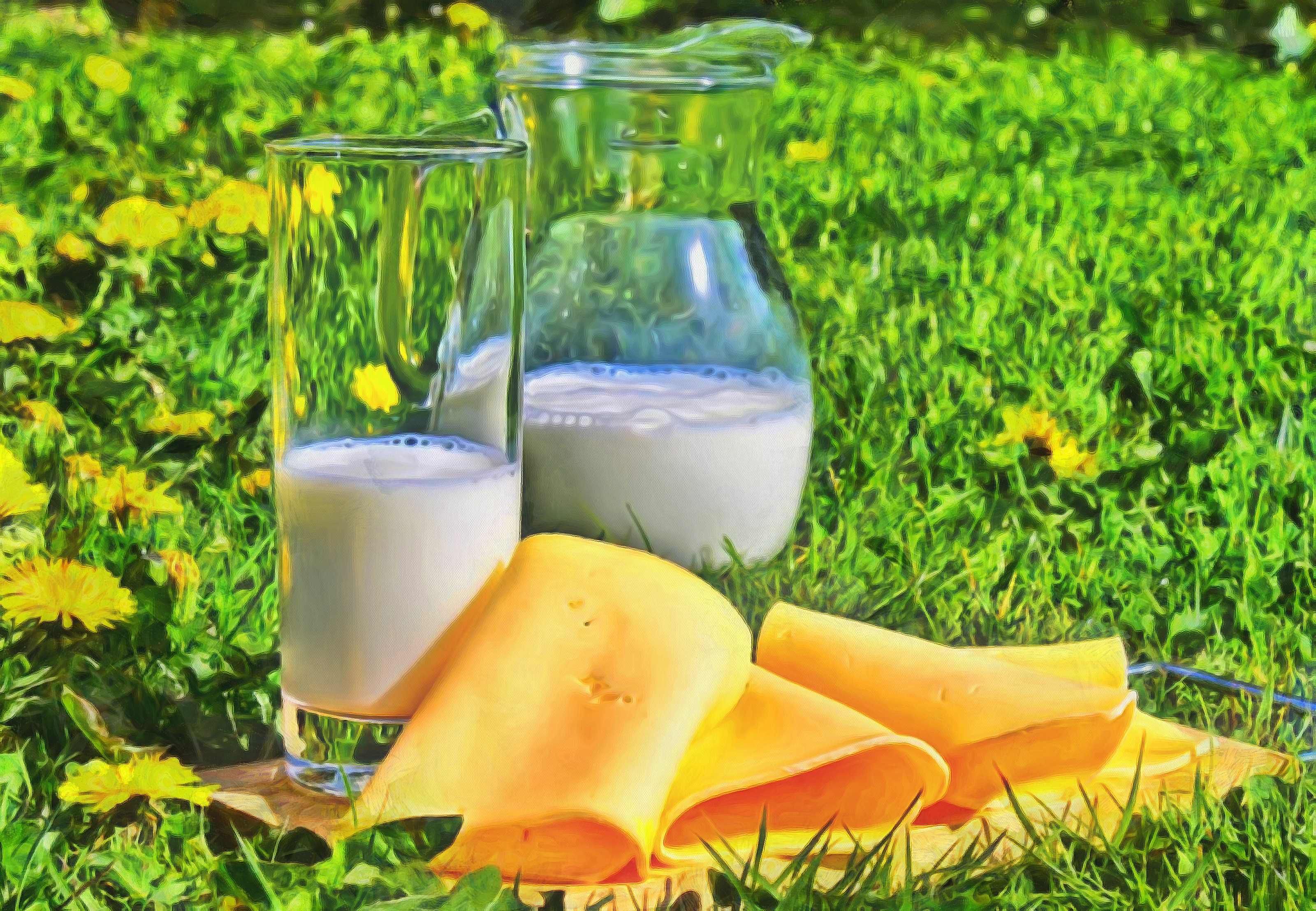 skim milk nutrition facts
