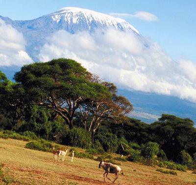 Kilimanjaro Mountain