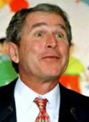 Funny Mr Bush