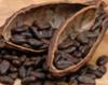 interesting facts about cacao beans