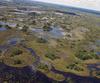 Okavango Delta in Africa