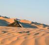 The sea of being rolled golden barkhans in Northern Sahara