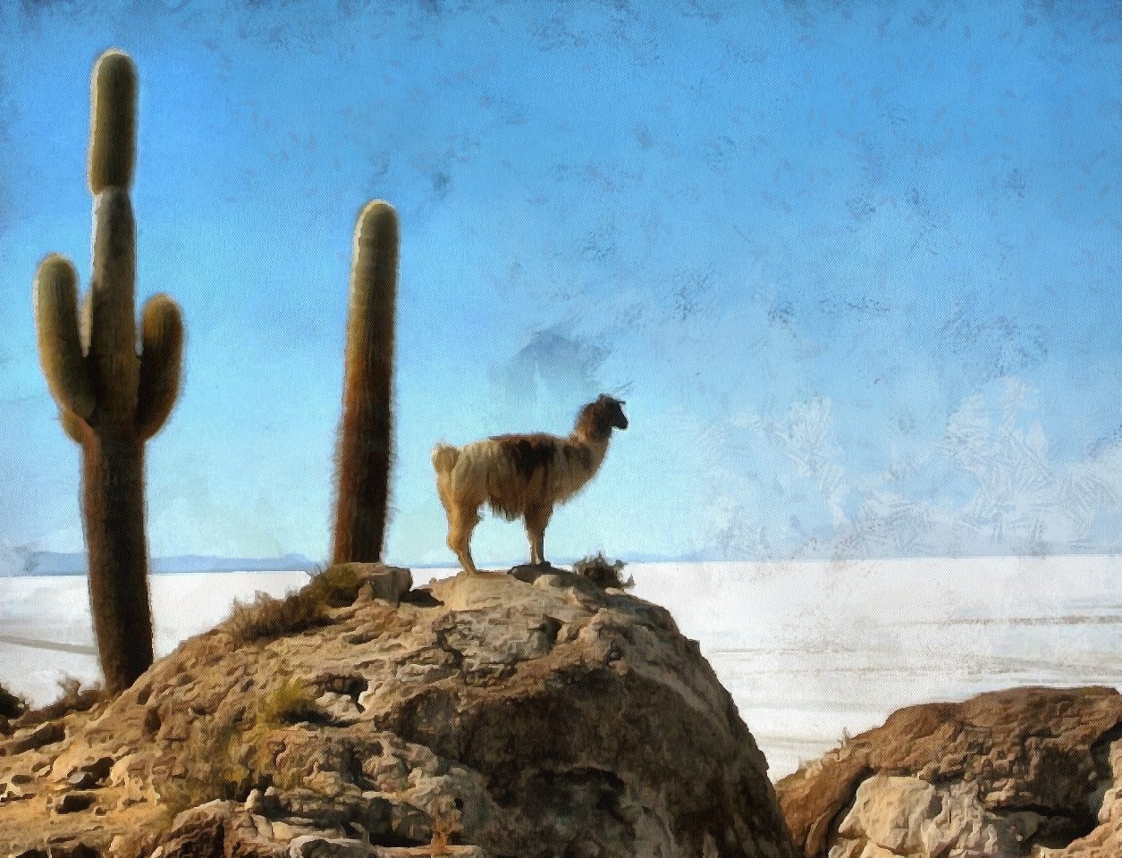 Fun Facts about Bolivia, Bolivia fun facts