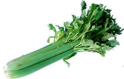 interesting facts about celery