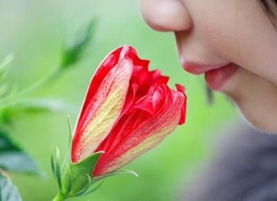 Interesting Facts about Scents