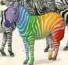 interesting facts about zebras