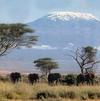 Kilimanjaro mount